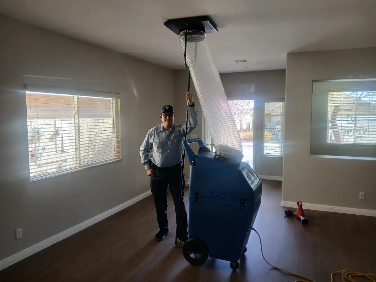 Professional Dryer Vent Cleaning work inside a Crown Point home